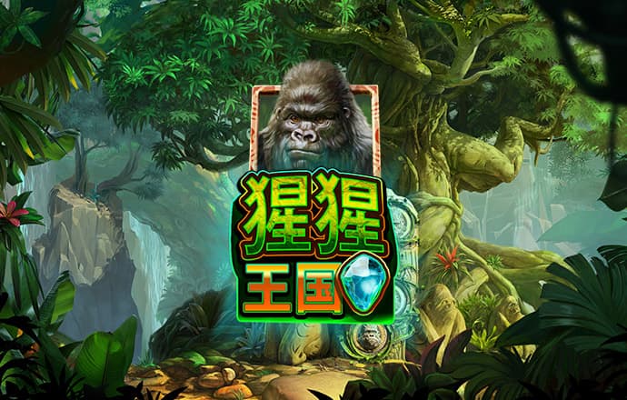 港澳宝典最新版11133下载安装